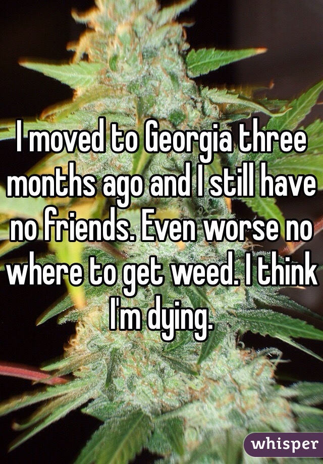 I moved to Georgia three months ago and I still have no friends. Even worse no where to get weed. I think I'm dying. 