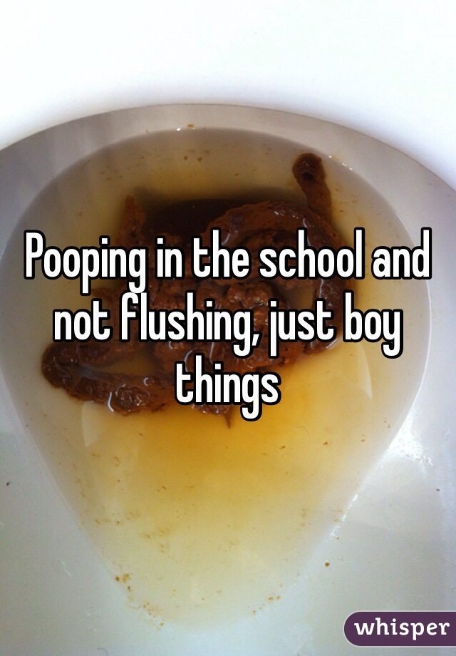 Pooping in the school and not flushing, just boy things 