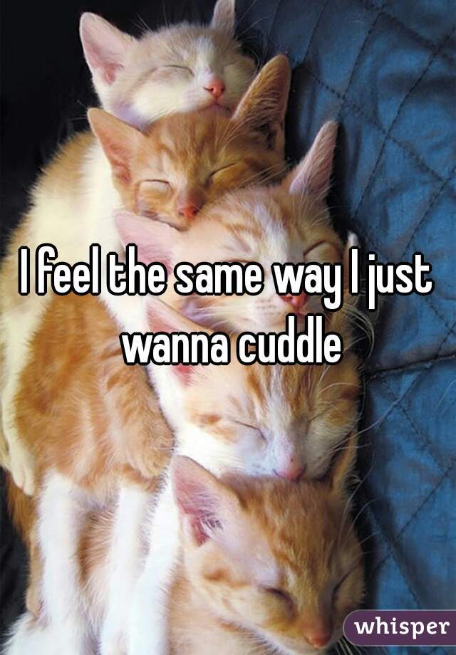 I feel the same way I just wanna cuddle
