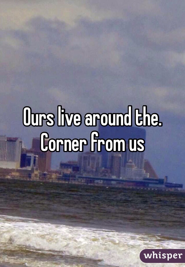 Ours live around the. Corner from us