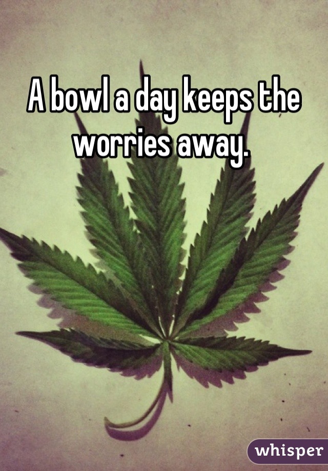 A bowl a day keeps the worries away. 