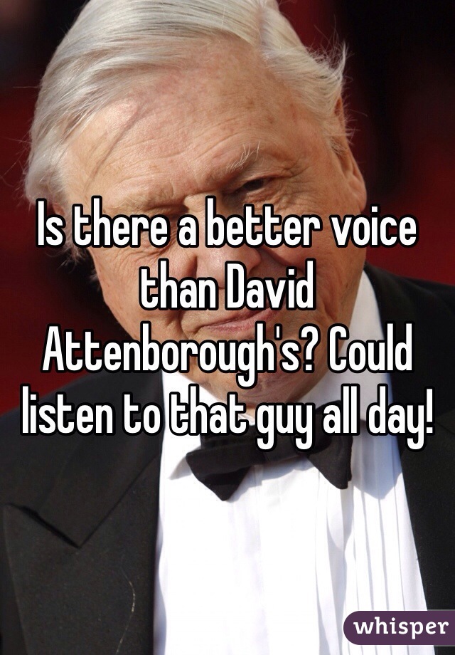 Is there a better voice than David Attenborough's? Could listen to that guy all day!