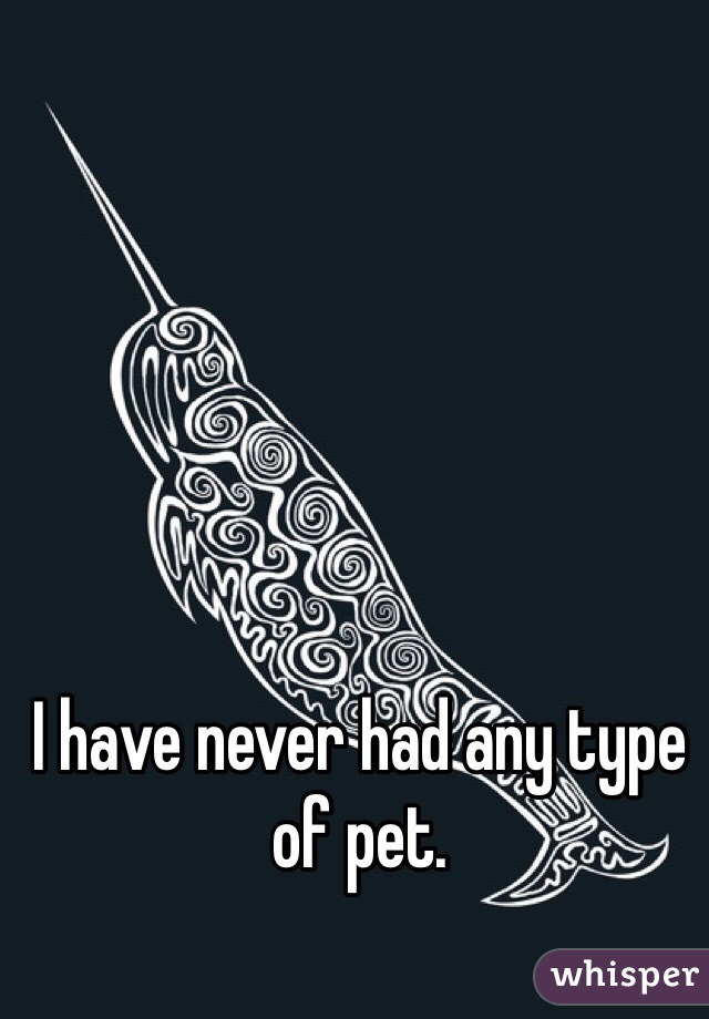 I have never had any type of pet. 