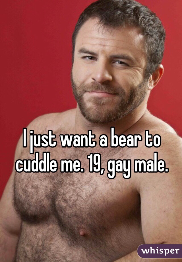 I just want a bear to cuddle me. 19, gay male.