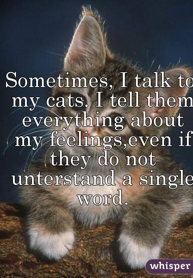 Sometimes, I talk to my cats. I tell them everything about my feelings,even if they do not unterstand a single word.
