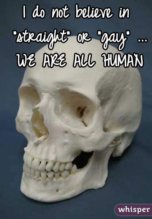 I do not believe in "straight" or "gay" ... WE ARE ALL HUMAN