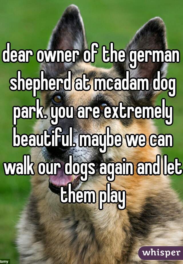 dear owner of the german shepherd at mcadam dog park. you are extremely beautiful. maybe we can walk our dogs again and let them play