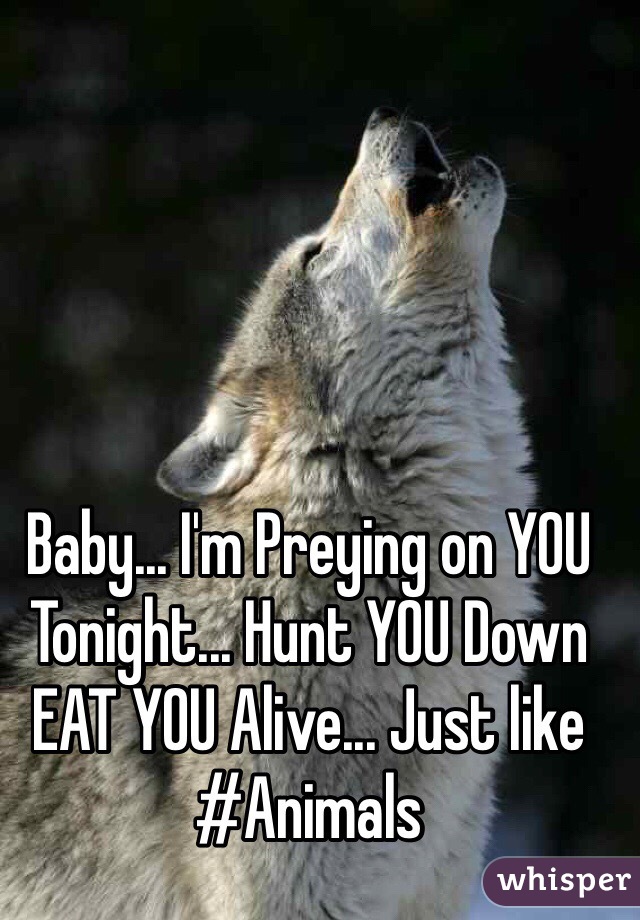 Baby... I'm Preying on YOU Tonight... Hunt YOU Down EAT YOU Alive... Just like 
#Animals