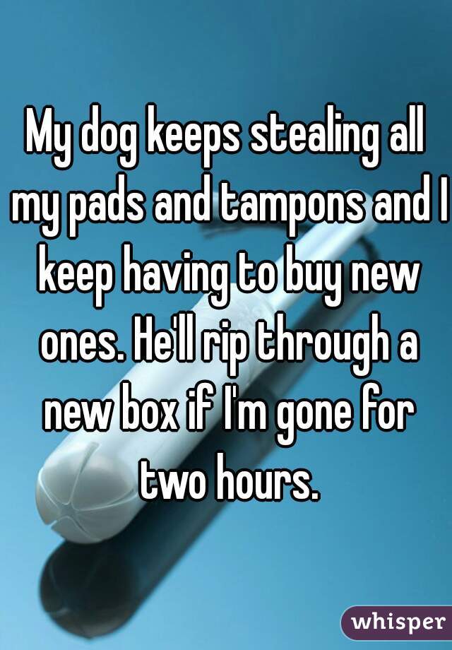 My dog keeps stealing all my pads and tampons and I keep having to buy new ones. He'll rip through a new box if I'm gone for two hours.