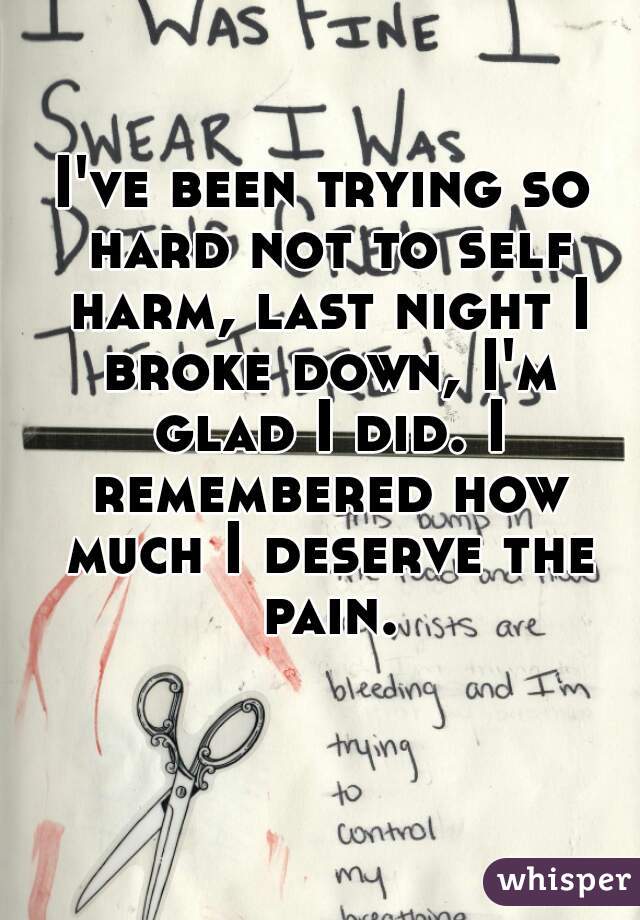 I've been trying so hard not to self harm, last night I broke down, I'm glad I did. I remembered how much I deserve the pain.