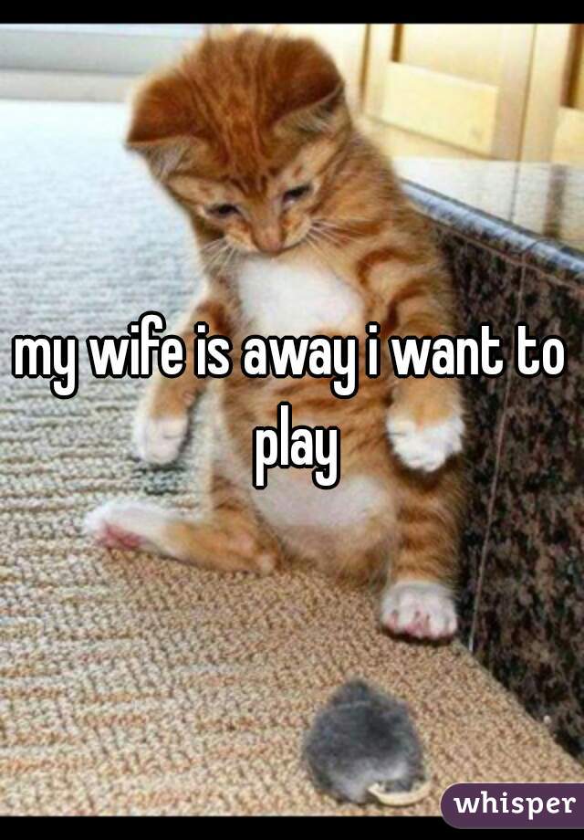 my wife is away i want to play