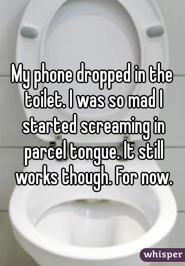 My phone dropped in the toilet. I was so mad I started screaming in parcel tongue. It still works though. For now.