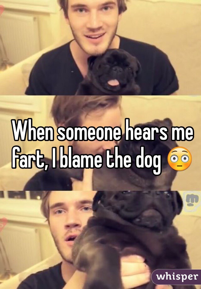 When someone hears me fart, I blame the dog 😳