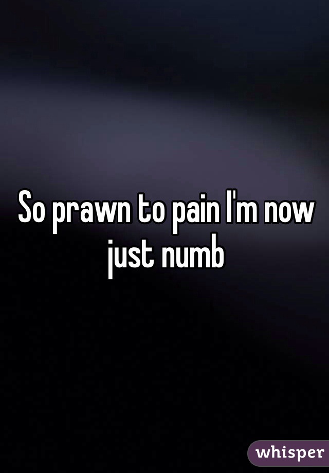 So prawn to pain I'm now just numb 