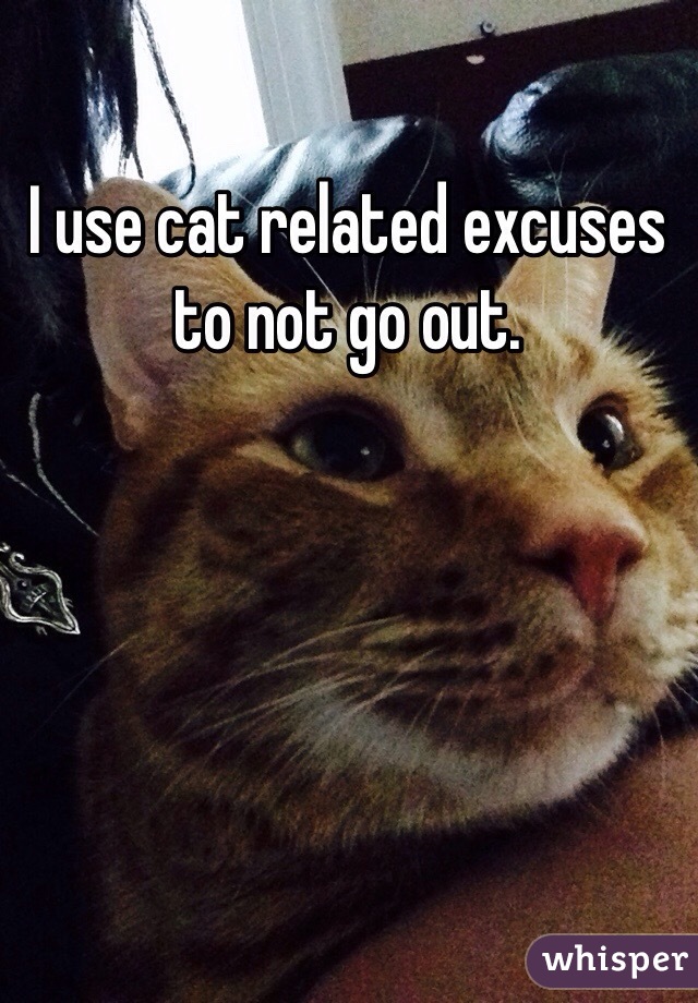 I use cat related excuses to not go out. 