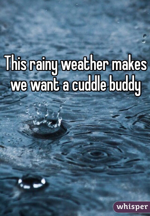 This rainy weather makes we want a cuddle buddy