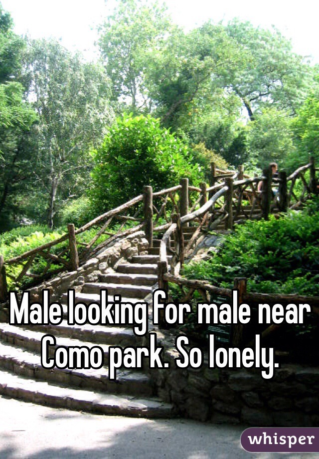 Male looking for male near Como park. So lonely. 