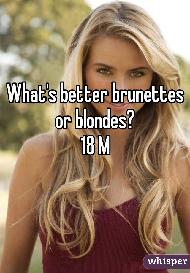 What's better brunettes or blondes?
18 M
