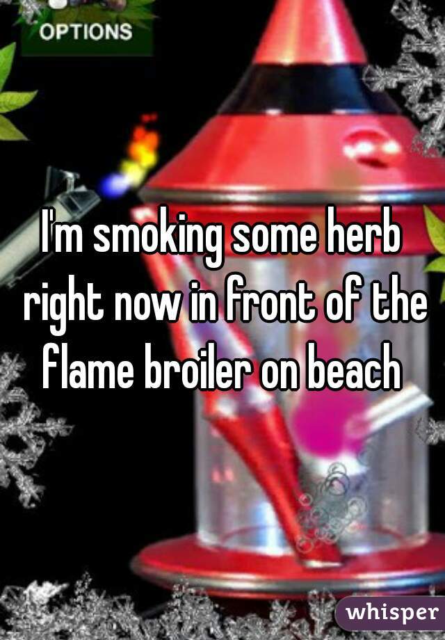 I'm smoking some herb right now in front of the flame broiler on beach 