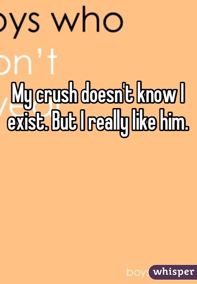 My crush doesn't know I exist. But I really like him.