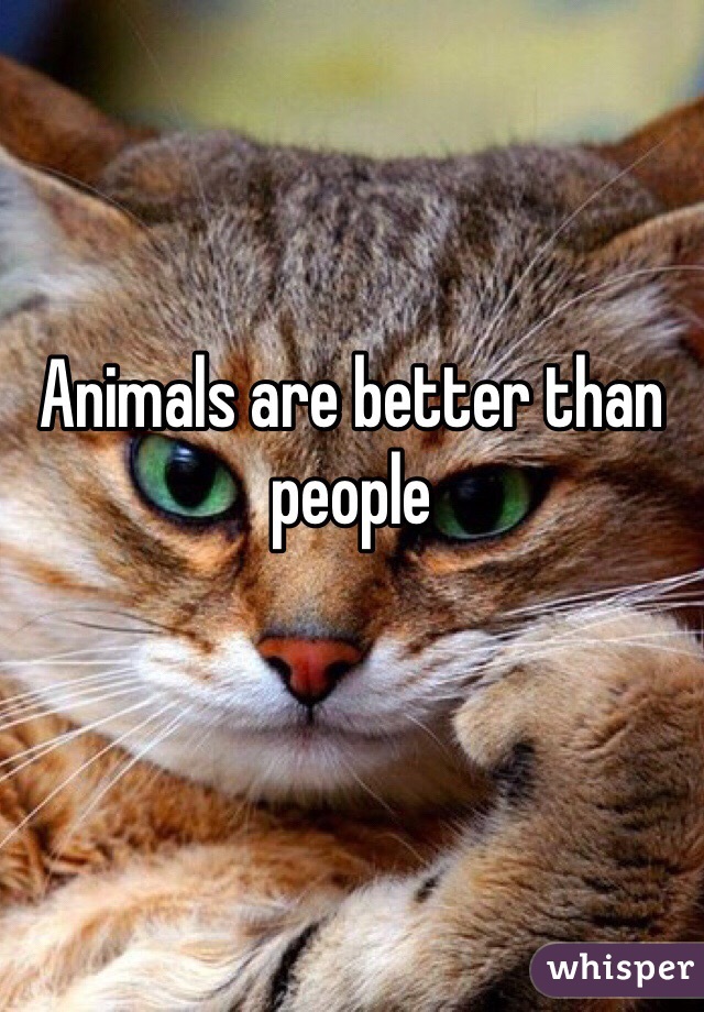 Animals are better than people 
