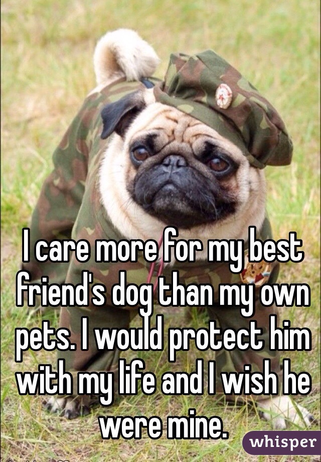 I care more for my best friend's dog than my own pets. I would protect him with my life and I wish he were mine.