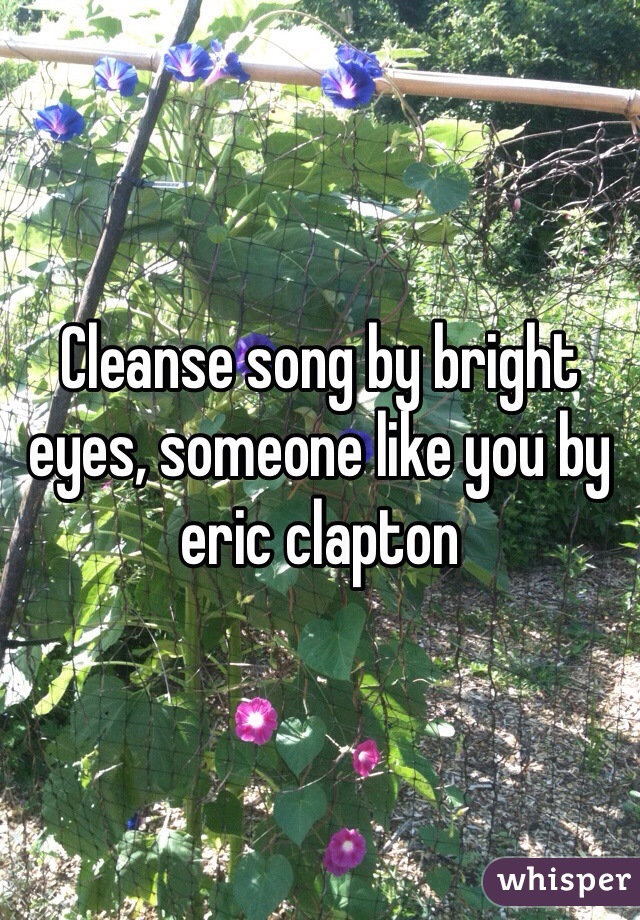 Cleanse song by bright eyes, someone like you by eric clapton