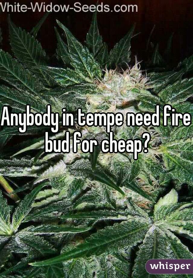 Anybody in tempe need fire bud for cheap?