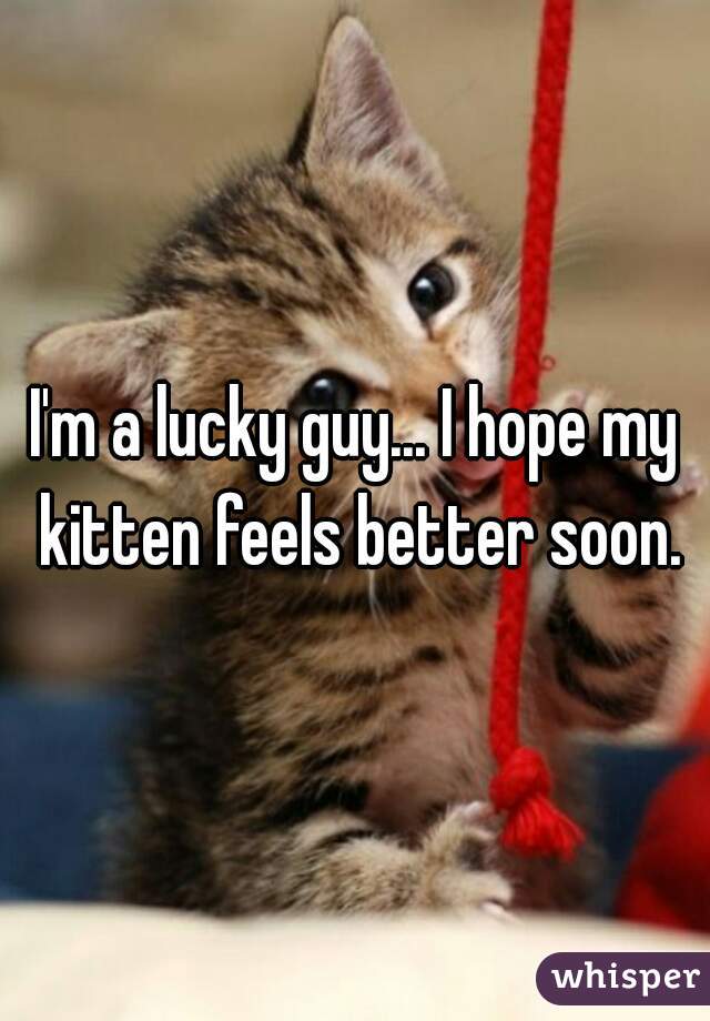 I'm a lucky guy... I hope my kitten feels better soon.