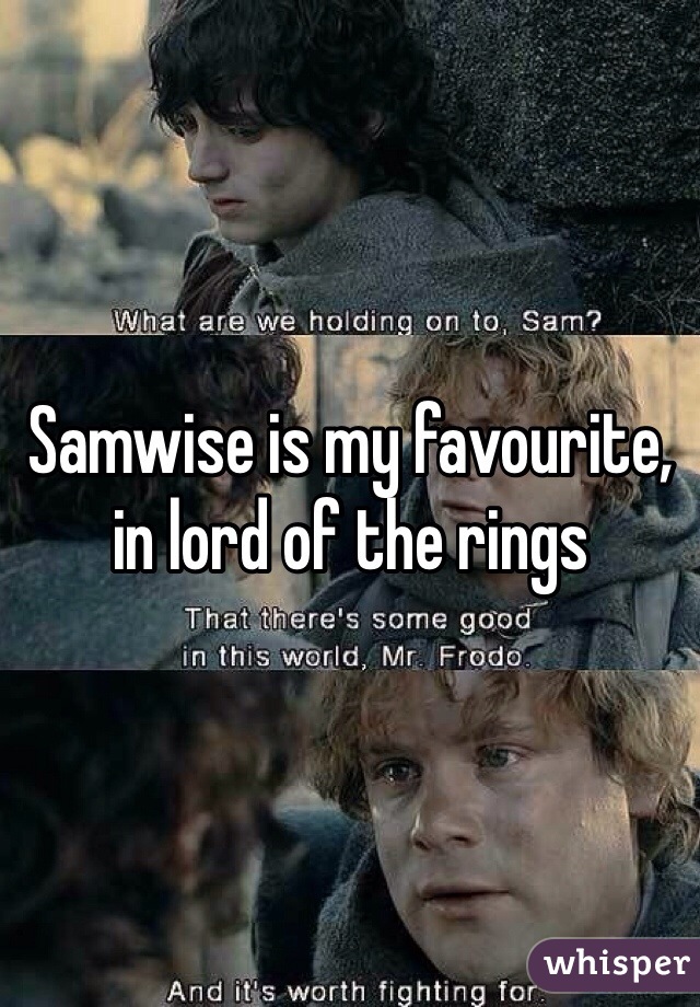 Samwise is my favourite, in lord of the rings 