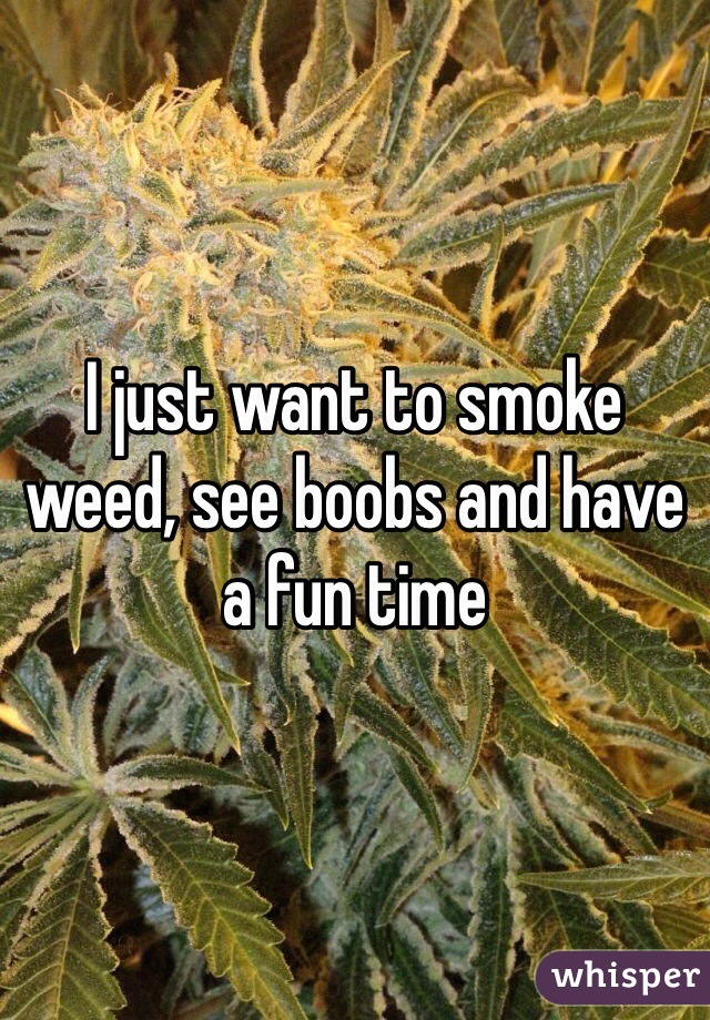 I just want to smoke weed, see boobs and have a fun time