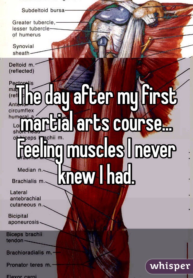 The day after my first martial arts course... Feeling muscles I never knew I had.