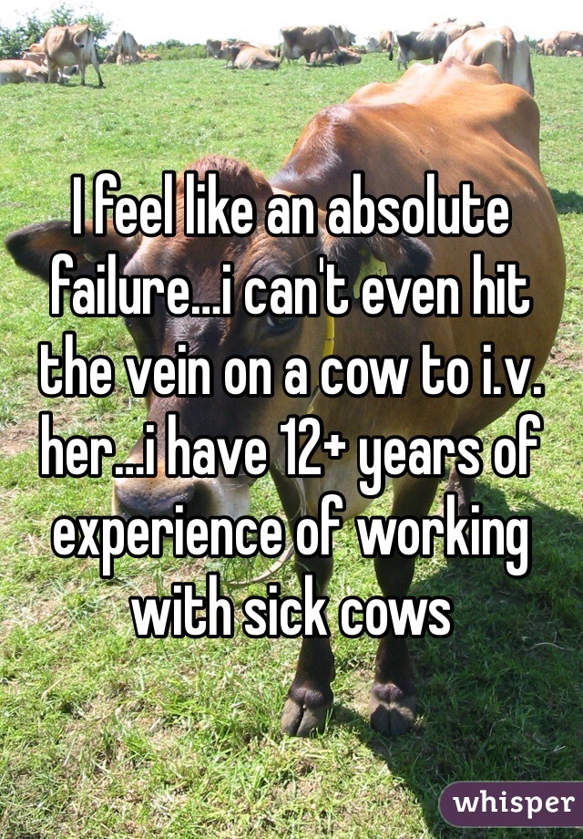 I feel like an absolute failure…i can't even hit the vein on a cow to i.v. her…i have 12+ years of experience of working with sick cows