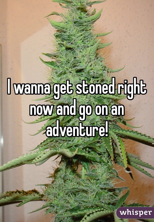 I wanna get stoned right now and go on an adventure!