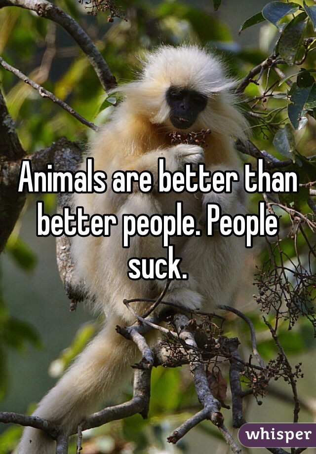 Animals are better than better people. People suck. 