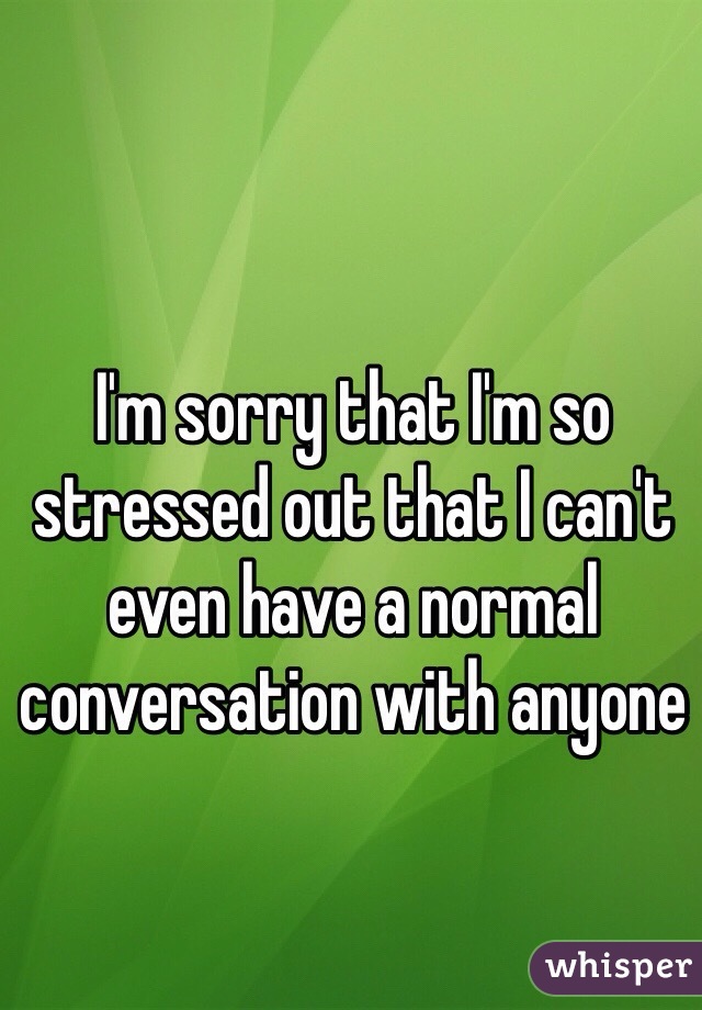 I'm sorry that I'm so stressed out that I can't even have a normal conversation with anyone 