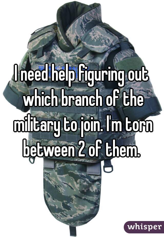 I need help figuring out which branch of the military to join. I'm torn between 2 of them. 