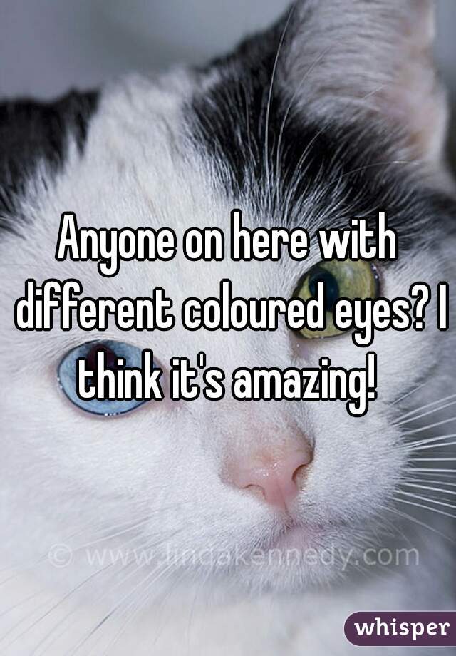 Anyone on here with different coloured eyes? I think it's amazing! 