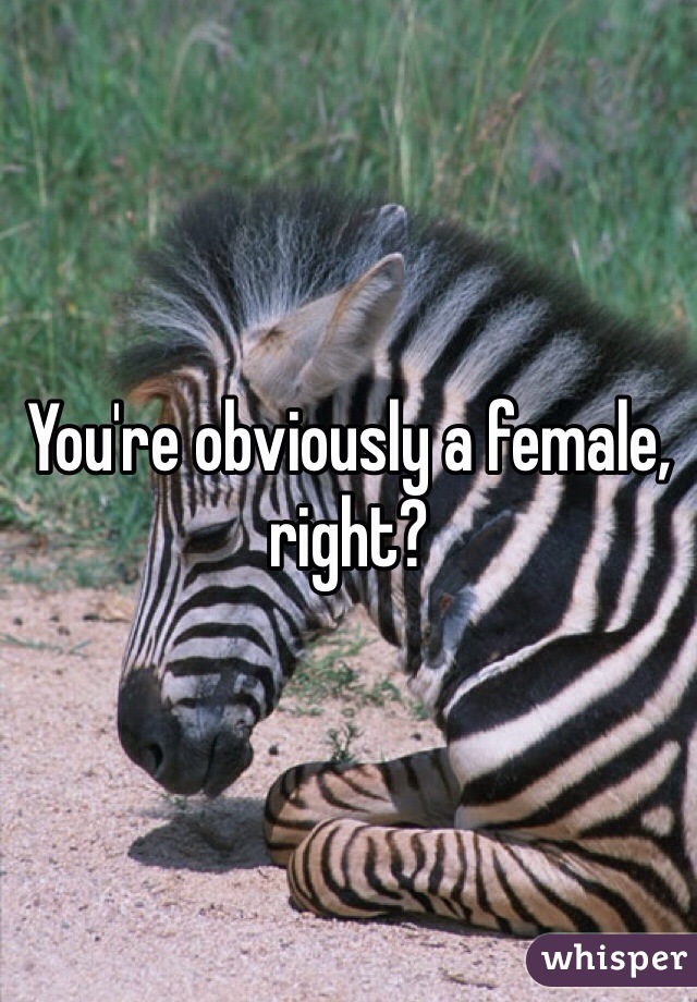 You're obviously a female, right?