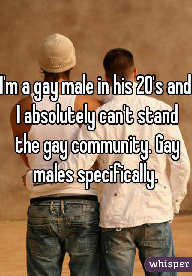 I'm a gay male in his 20's and I absolutely can't stand the gay community. Gay males specifically. 