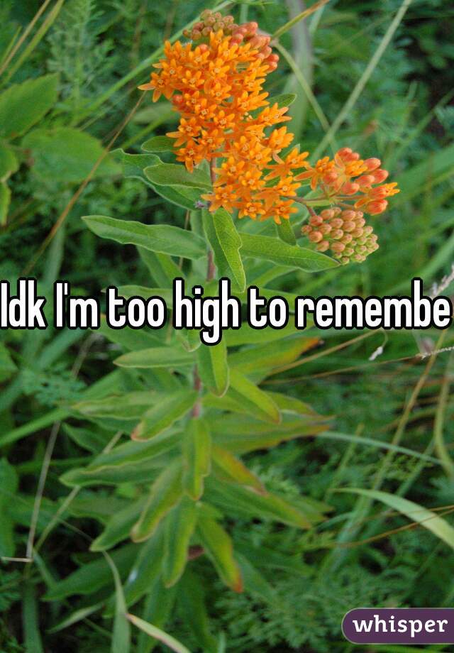 Idk I'm too high to remember