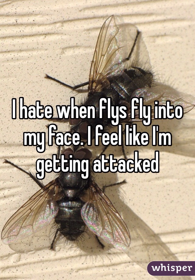 I hate when flys fly into my face. I feel like I'm getting attacked 