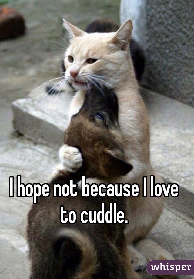 I hope not because I love to cuddle. 