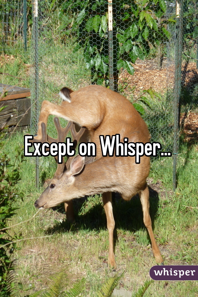 Except on Whisper... 