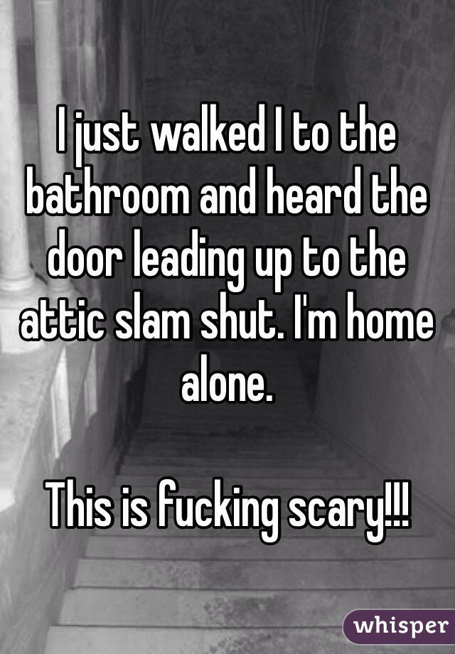 I just walked I to the bathroom and heard the door leading up to the attic slam shut. I'm home alone.

This is fucking scary!!!