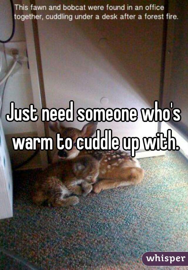 Just need someone who's warm to cuddle up with.