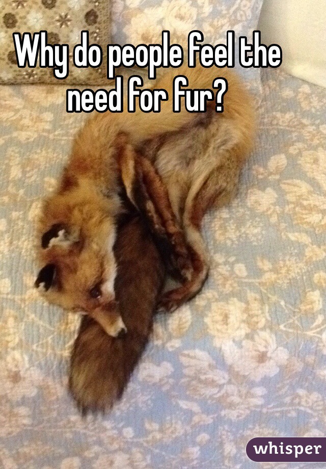 Why do people feel the need for fur? 