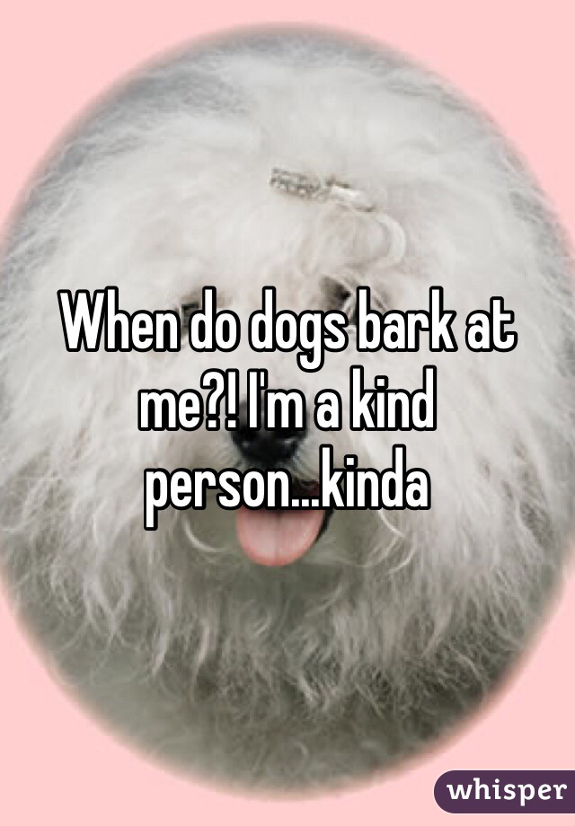 When do dogs bark at me?! I'm a kind person...kinda