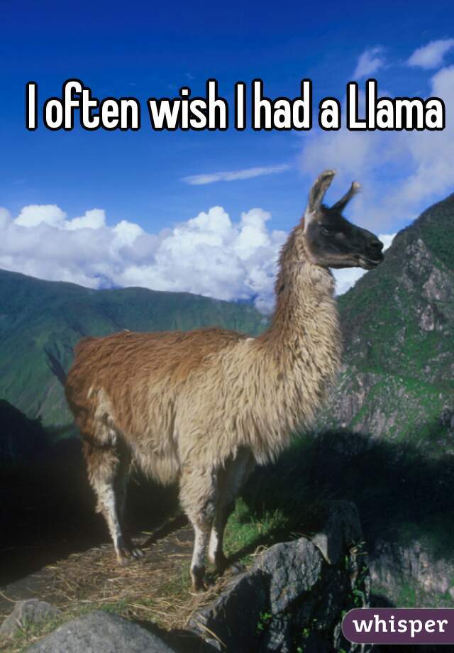 I often wish I had a Llama