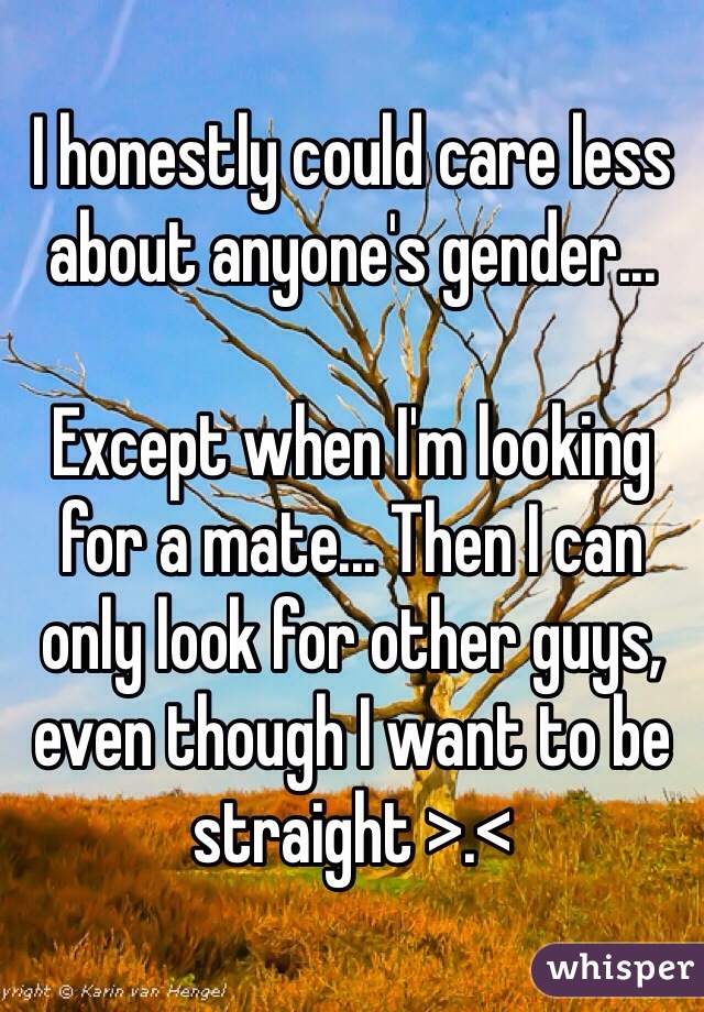 I honestly could care less about anyone's gender...

Except when I'm looking for a mate... Then I can only look for other guys, even though I want to be straight >.<